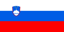 Country flag Slovenia