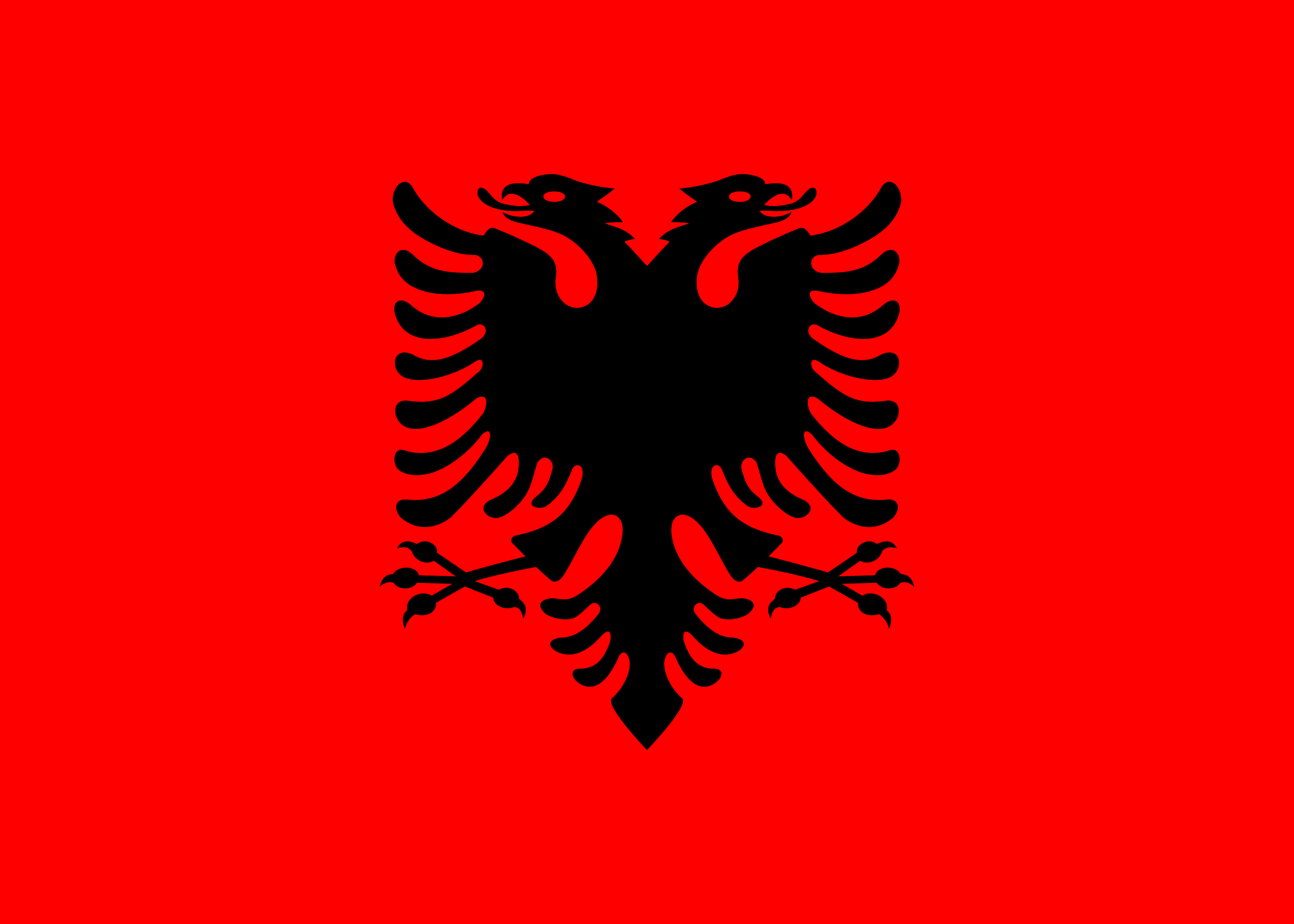 Country flag Albania