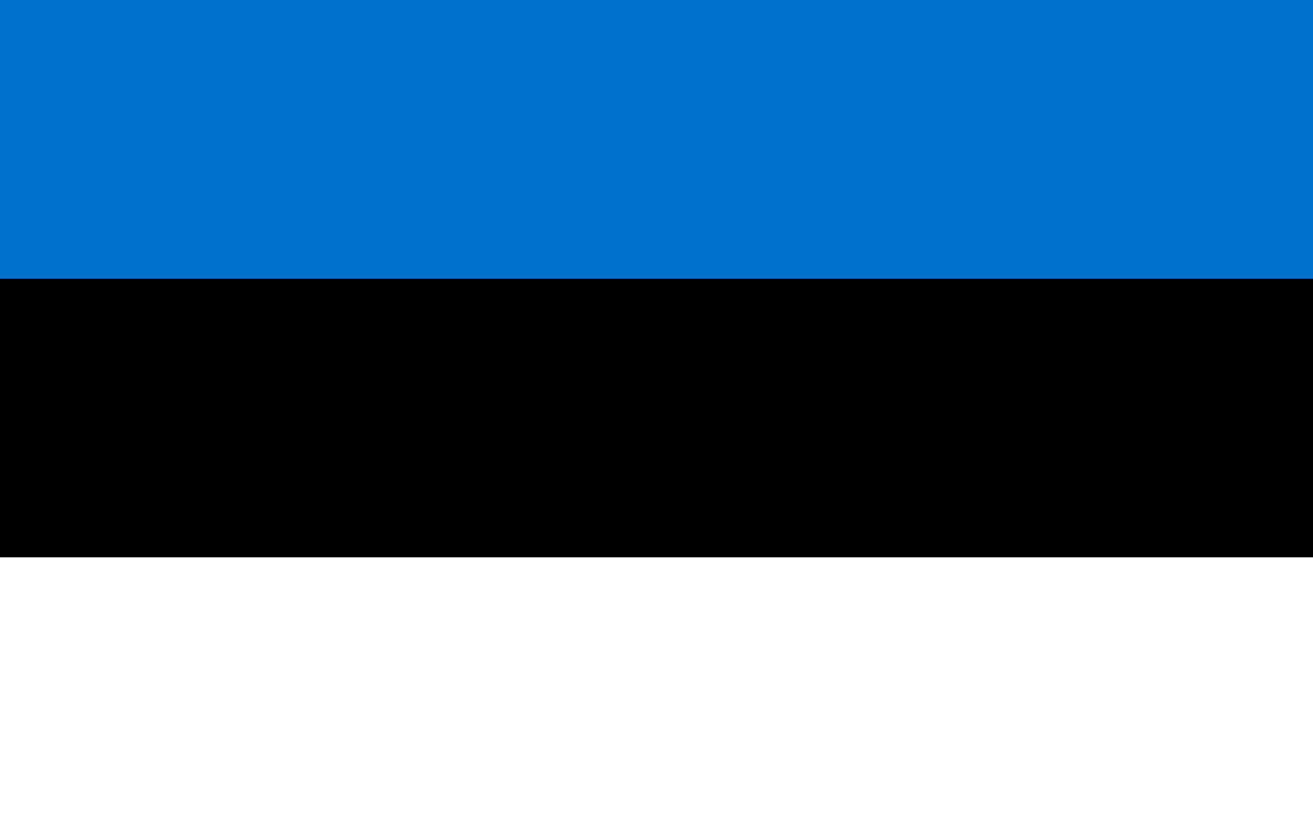 Country flag Estonia