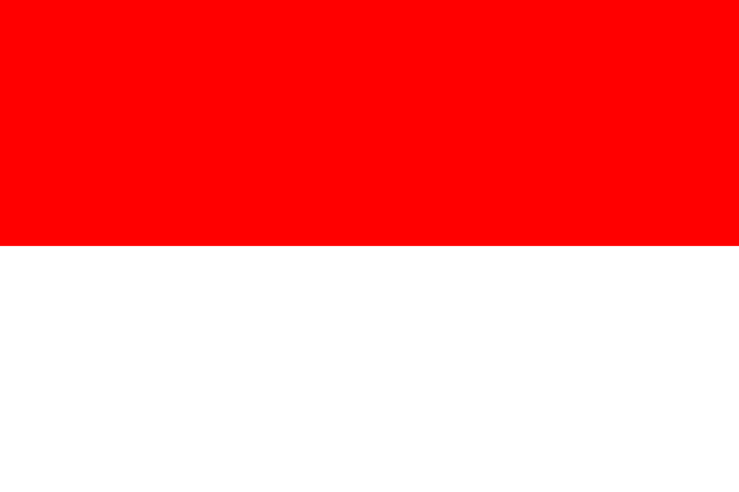 Country flag Indonesia